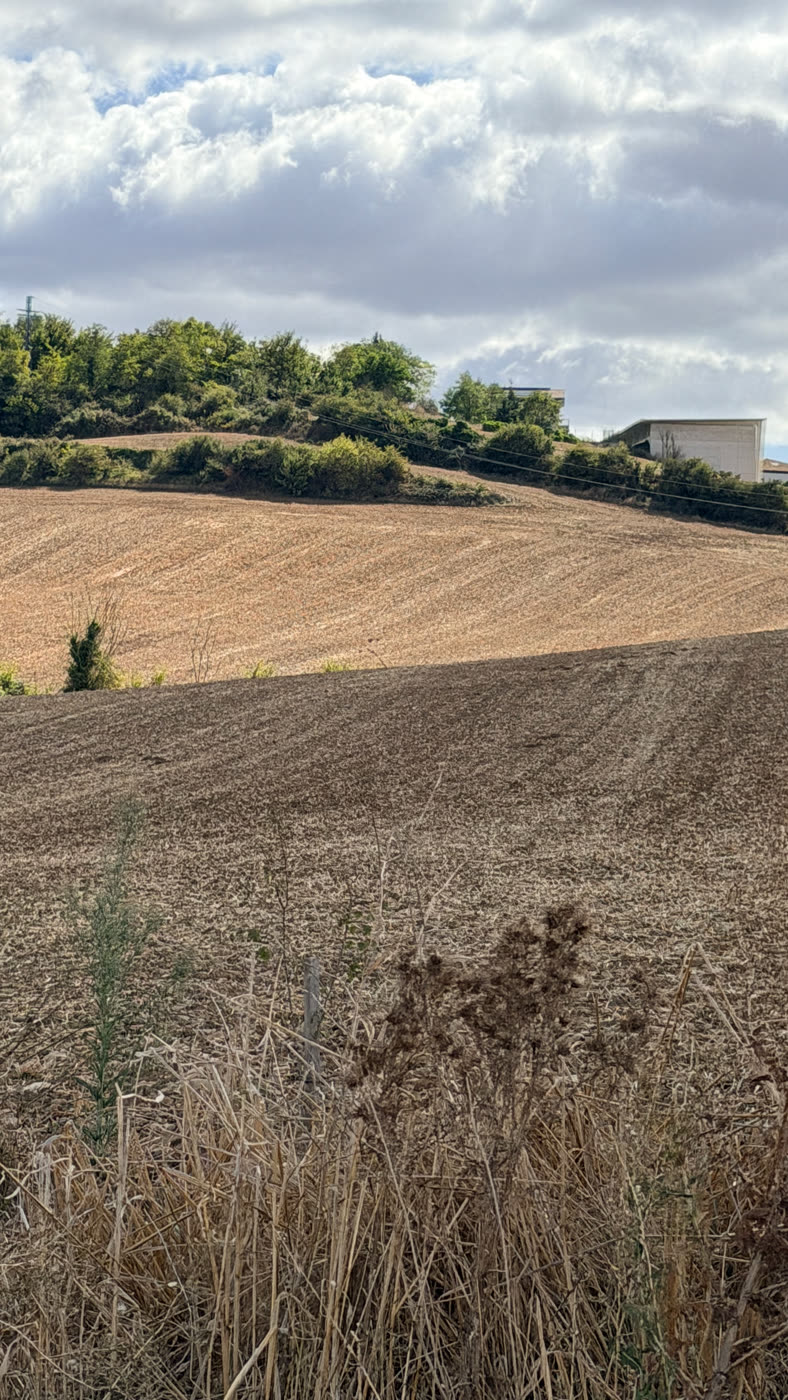 Vyer & landskap